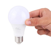 لامپ الئیدی (LED) ساروز با رده انرژیw 9 +A (مدلهای استوانهای و حبابی)